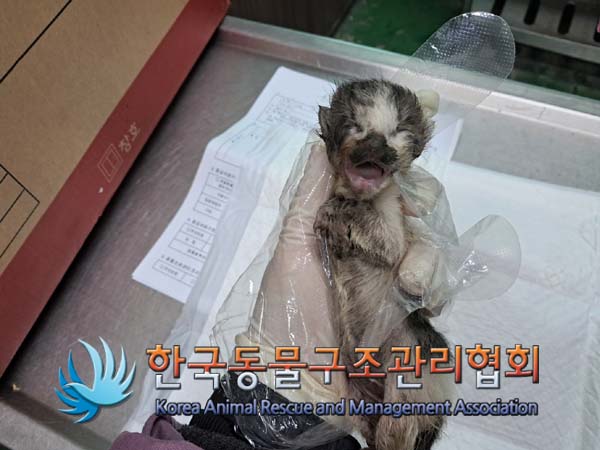 한국동물구조관리협회_441559202400853